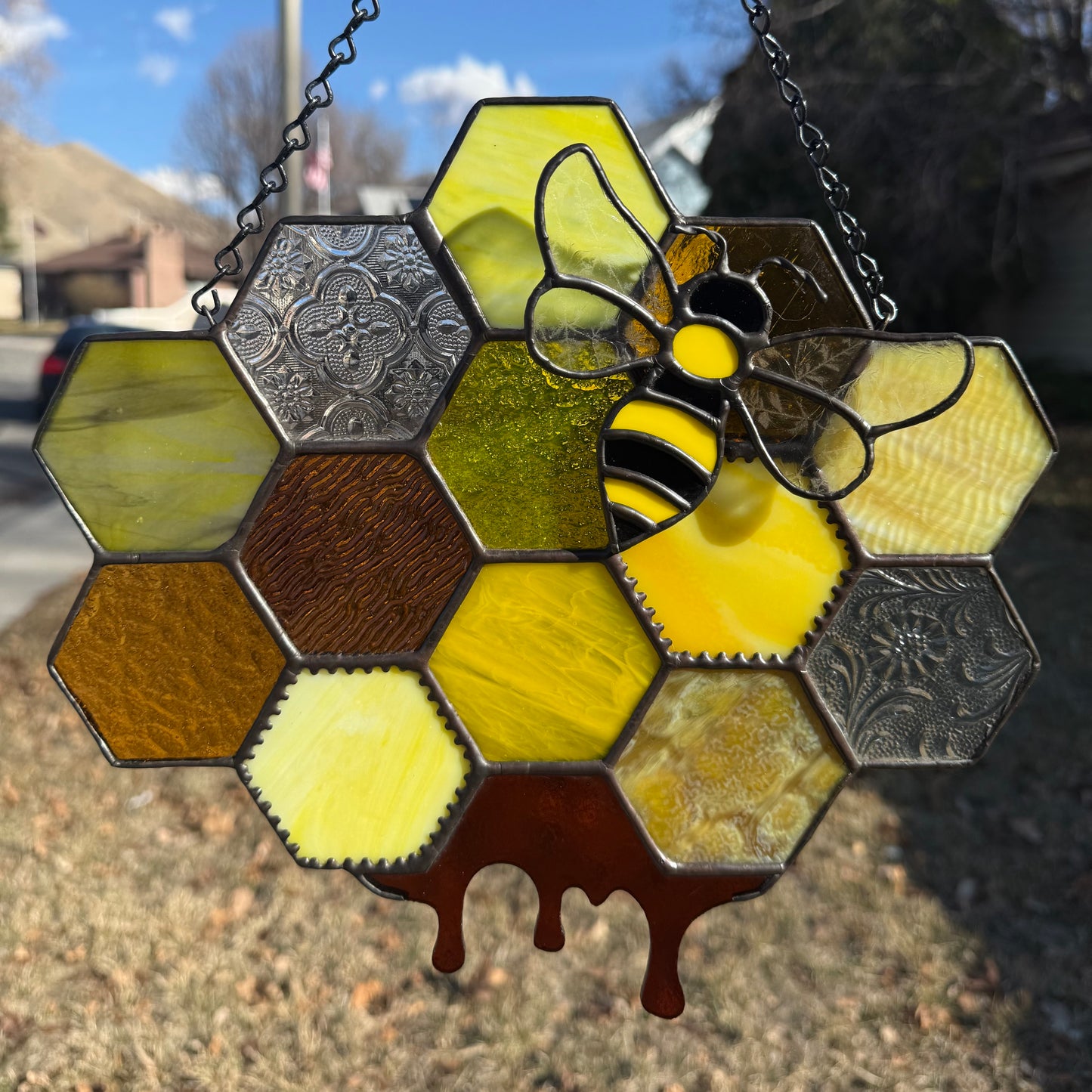 Honeycomb with Magnetic Bee