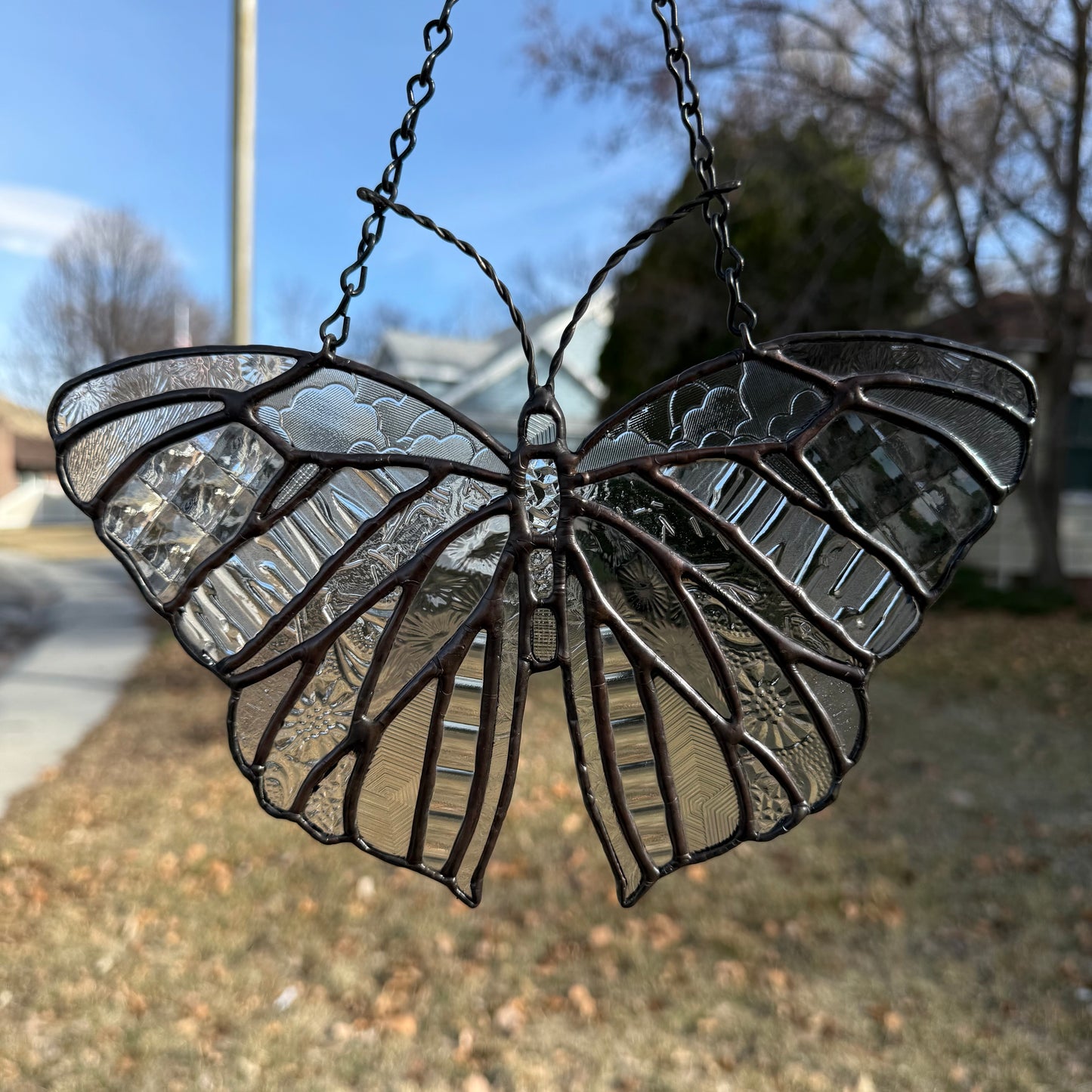 Clear Textured Butterfly