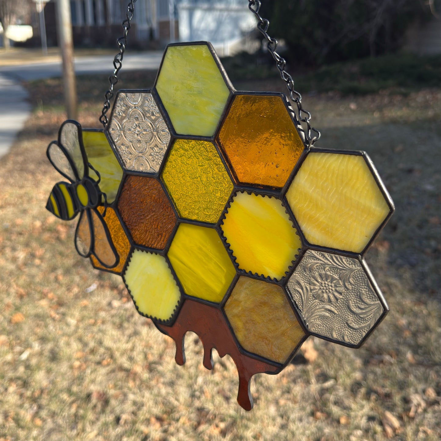 Honeycomb with Magnetic Bee