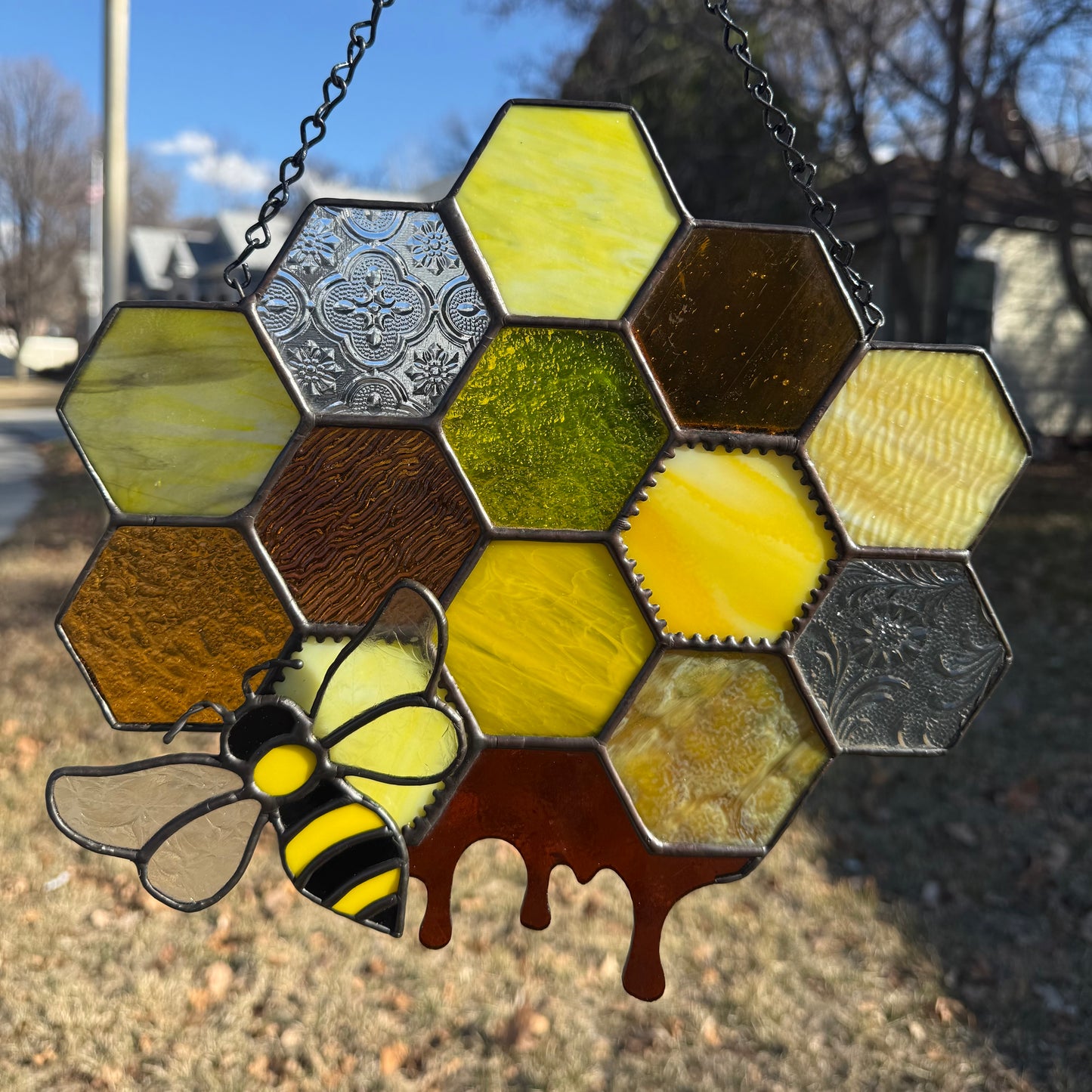 Honeycomb with Magnetic Bee